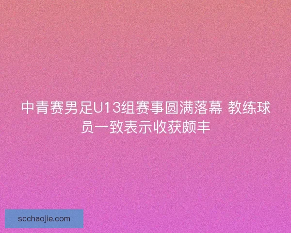 中青赛男足U13组赛事圆满落幕 教练球员一致表示收获颇丰