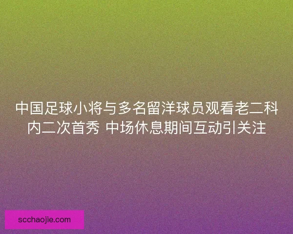 中国足球小将与多名留洋球员观看老二科内二次首秀 中场休息期间互动引关注