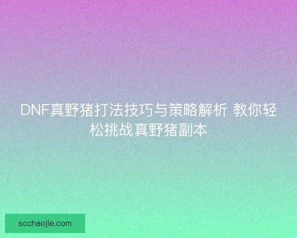 DNF真野猪打法技巧与策略解析 教你轻松挑战真野猪副本