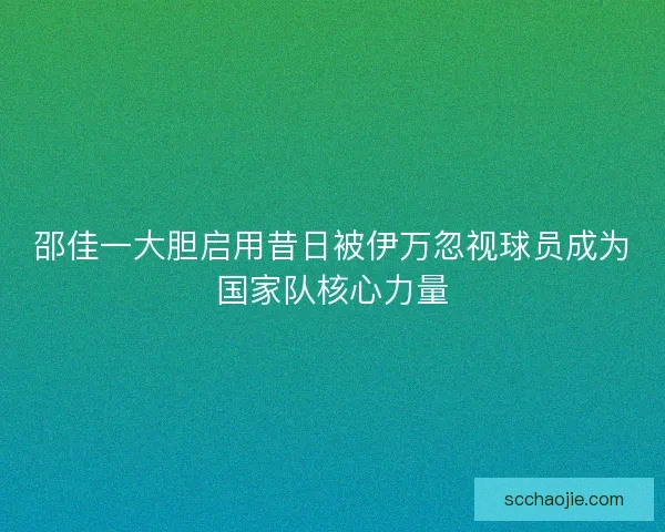 邵佳一大胆启用昔日被伊万忽视球员成为国家队核心力量