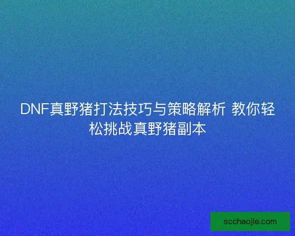 DNF真野猪打法技巧与策略解析 教你轻松挑战真野猪副本